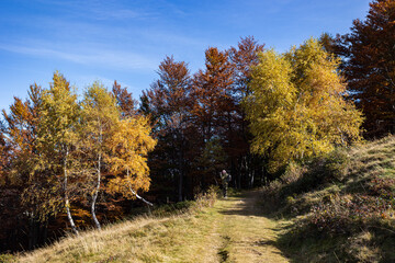 Autunno all'oasi Zegna