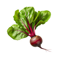 Beetroot with leaves isolated on transparent background Remove png, Clipping Path