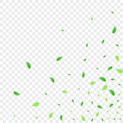 Green Vegetation Background Transparent Vector. Leaves Symbol Frame. Watercolor Design. Greenish Aroma Illustration. Foliage Space.