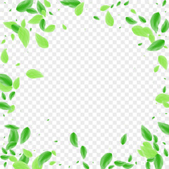 Greenish Greenery Background Transparent Vector. Vegetation Label Frame. Pure Card. Light Green Figure Illustration. Sheet Border.