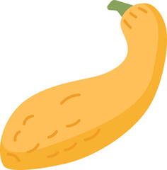 squash  icon