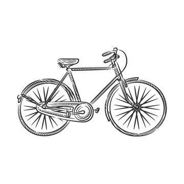 Vintage retro bicycle line art hand drawn