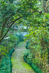 Obraz premium Yongfu Zen Temple, Hangzhou City, Zhejiang Province-Classical Garden Scenery