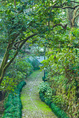 Yongfu Zen Temple, Hangzhou City, Zhejiang Province-Classical Garden Scenery