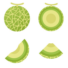 Melon illustration vector