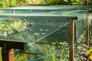 Netz zum Schutz vor  Blätter im Herbst