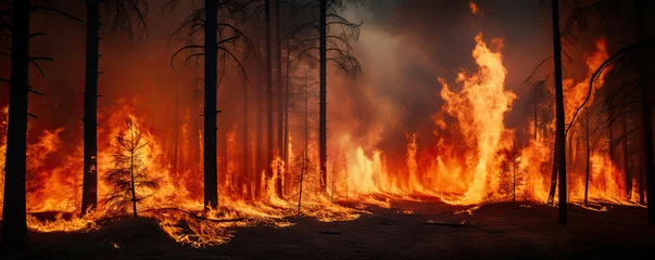 Rolgordijnen Huge flames of fire in big forest. © Michal