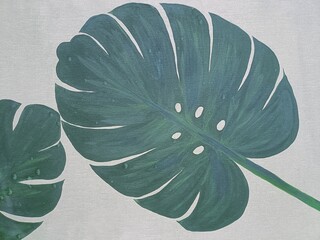 Watercolor painting of monstera leaves