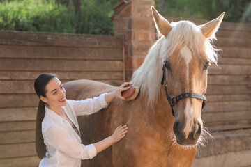 Woman brushing adorable horse outdoors. Pet care © New Africa