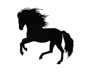 Horse Silhouette. Horse Vector Illustration.