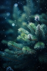Fototapeta na wymiar Pine tree branch with snow falling on it and blurry background.