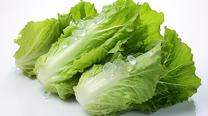 fresh green Chinese cabbage with ice - obrazy, fototapety, plakaty