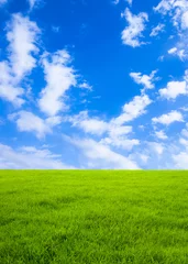 Foto op Canvas 緑の草原と青空 © miiko
