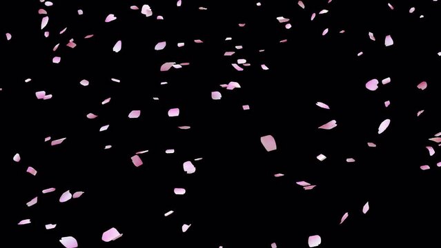 桜吹雪 v3 B1 寄り アルファチャンネル付き