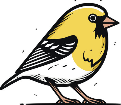 recommend clip art: Vector illustration of a goldfinch bird. Isolated on white background.