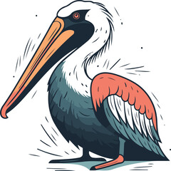 Vector illustration of a pelican isolated on white background. Cartoon style.