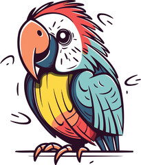 Parrot vector illustration. Isolated parrot on white background.