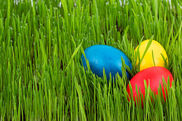Easter eggs in the grass
