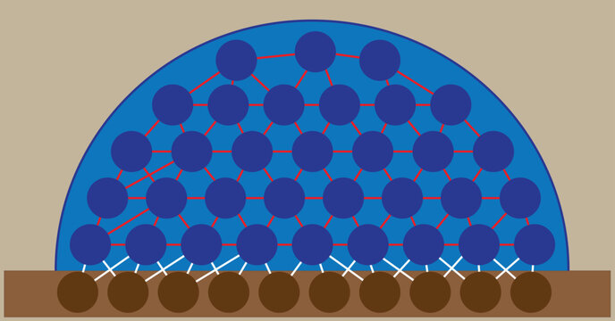 water and soil molecules under the effect of adhesion and cohesion