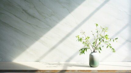 The serene beauty of springtime, with sunlight gently filtering through the vibrant green branches of a tree. The tree's shadow gracefully adorns a white marble tile wall in the background
