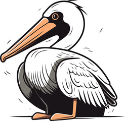 Pelican isolated on white background. Vector illustration for your design