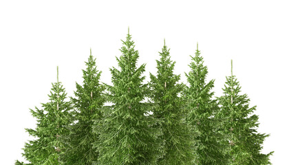 tree, christmas, winter, fir, pine, forest, nature, 