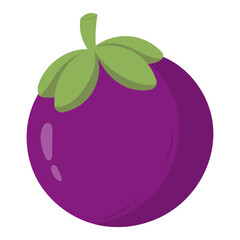 mangosteen fruit illustration