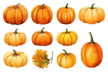 A set of Halloween and Thanksgiving pumpkins isolated on a white or transparent background, painted in watercolor vector illustration art, PNG. - obrazy, fototapety, plakaty
