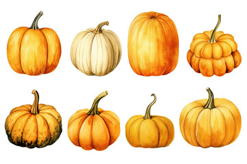 A set of Halloween and Thanksgiving pumpkins isolated on a white or transparent background, painted in watercolor vector illustration art, PNG.