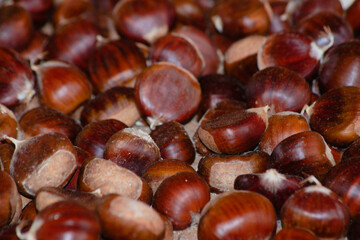 ripe chestnuts for food background