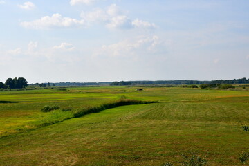 A view of a vast field, pastureland or meadow overgrown with herbs and grass located next to a lush forest or moor seen on a cloudy yet warm summer day on a Polish countryside