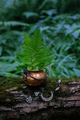 Copper witch cauldron with fern leaves in forest, abstract natural background. occult esoteric...