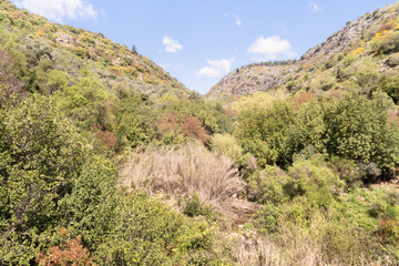 Fototapeta na wymiar The Nahal Amud National Natural Park in Western Galilee in northern Israel