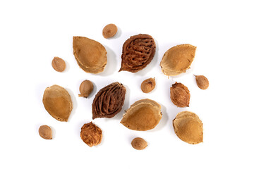 Group of a fruit pits isolated on white background