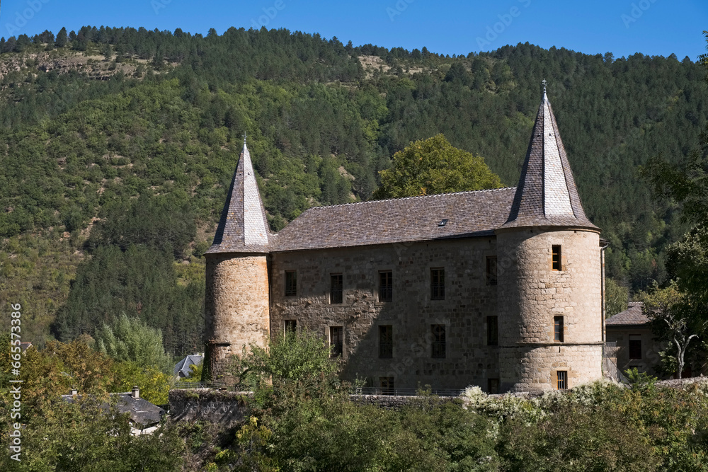 Wall mural Chateau de Florac