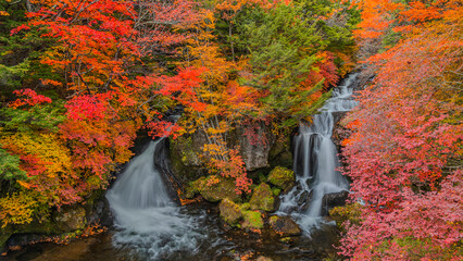Fototapeta premium 秋の日光 竜頭の滝 絶景