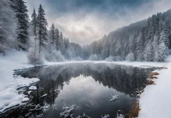 Keuken foto achterwand Mistig bos Winter forest in the Carpathians on Lake Vito.