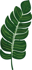A simplistic vector illustration featuring tropical leaves, creating a minimalistic design.