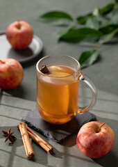 Homemade apple punch with fresh apples, cinnamon and spices in cup on a green background with fresh fruits, branch and morning shadows.