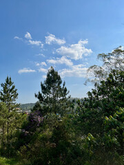 Caminho na natureza