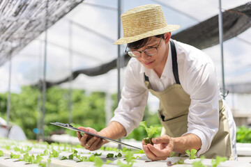Hydroponic vegetable concept, Asian man holding document and checking lettuce seedlings in farm