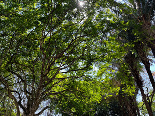 Fototapeta premium Dia ensolarado