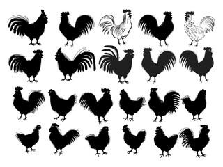 Set of cartoon silhouettes chicken hen rooster poultry farm animal icon character vector illustration.