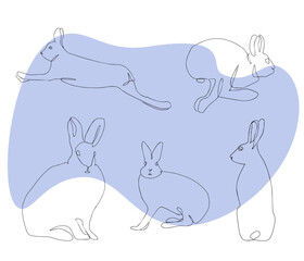 hares linear drawing
