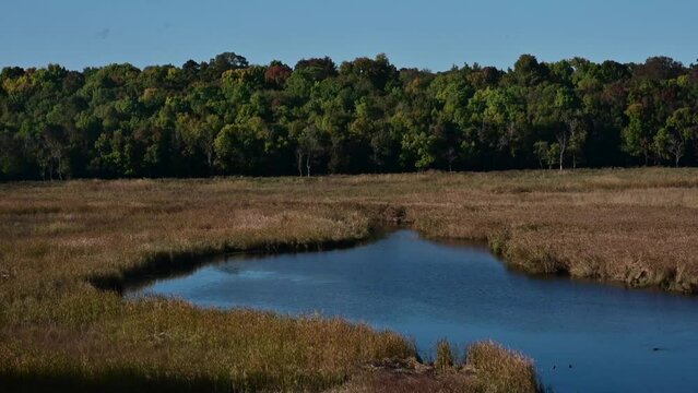 Mert lake. Igneada district Mert Lake bird watching area. Turkey.