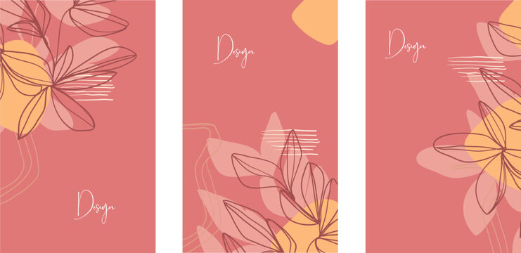 Luxury packaging design of chocolate bars. Vintage vector ornament template. Elegant, classic elements. Great for food, drink and other package types. Can be used for background and wallpaper.