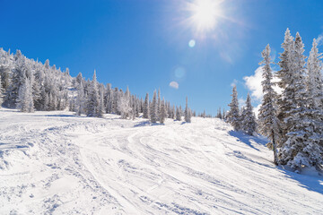 Ski slope on mount Green, freeride, Sheregesh ski resort, winter landscape with bright sun, amazing sunny winter day for sport, for leisure. Snow trails, blue sky, sunlight, fir tree forest