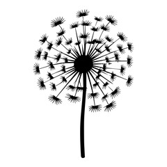 Dandelion flowers with fluffy seeds , floral silhouettes design elements vector illustration, ai generated