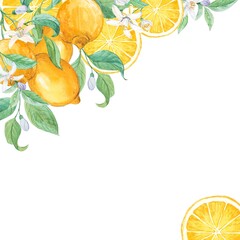 Lemon branches. Watercolor on a white background. A composition with yellow fruits is placed in the...