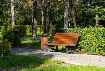 wooden benches in autumn park
